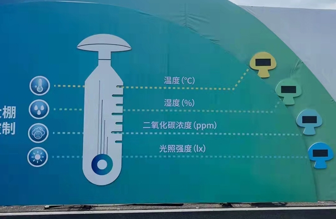 东西湖菌菇自动监测系统