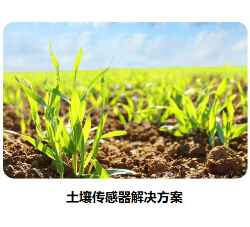 物联网传感器-土壤系列解决方案