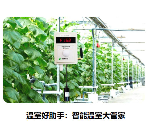 温室好助手：智能温室大管家