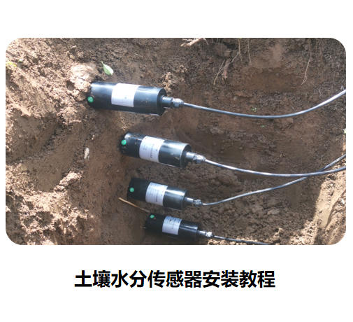 土壤水分传感器安装教程